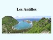 Реферат 'Antilles', 6.