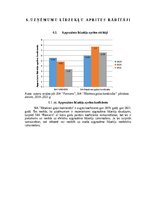 Реферат 'Gaļas nozares uzņēmumu finanšu novērtējums laikā no 2019.gada līdz 2021.gadam', 22.