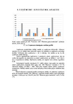 Реферат 'Gaļas nozares uzņēmumu finanšu novērtējums laikā no 2019.gada līdz 2021.gadam', 29.