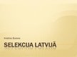 Презентация 'Selekcija Latvijā', 1.