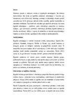 Эссе 'Ekrāni un cilvēki: digitālo tehnoloģiju transformējošā loma mūsdienu sabiedrībā', 1.