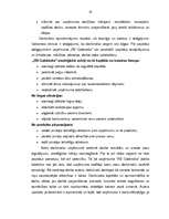 Дипломная 'Uzņēmuma "RB Galdnieks" mārketinga darbības analīze un mārketinga komunikāciju p', 33.