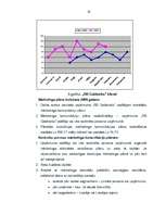 Дипломная 'Uzņēmuma "RB Galdnieks" mārketinga darbības analīze un mārketinga komunikāciju p', 58.