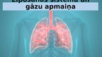 Презентация 'Elpošanas sistēma un gāzu apmaiņa', 1.