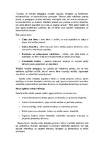 Эссе 'Mana izglītības filosofija', 3.