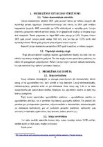 Бизнес план 'Biznesa plāns - litija bateriju dzēšana', 4.