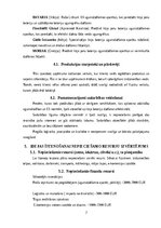 Бизнес план 'Biznesa plāns - litija bateriju dzēšana', 7.