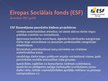 Презентация 'Eiropas Savienības Strukturālo fondu darbība Latvijā', 10.