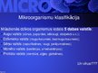 Презентация 'Mikrobioloģija', 23.