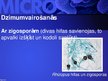 Презентация 'Mikrobioloģija', 55.