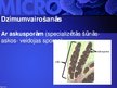 Презентация 'Mikrobioloģija', 56.