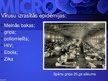 Презентация 'Mikrobioloģija', 96.