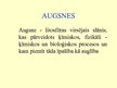 Презентация 'Augsne', 1.