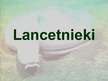 Презентация 'Lancetnieki', 1.