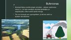 Презентация 'Mijiedarbība starp agro un dabiskajām ekosistēmām', 13.