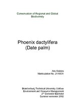 Реферат 'Phoenix Dactylifera (Date Palm)', 1.