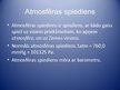 Презентация 'Laika apstākļu prognozēšana', 5.