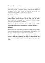 Эссе 'Komandu sports skolā: sadarbība, sociālās prasmes un akadēmiskā izaugsme', 2.