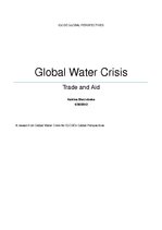 Реферат 'Global Water Crisis', 1.