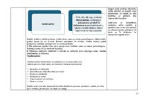 Отчёт по практике 'Skolotāja prakse', 17.