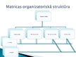 Презентация 'Projektu organizatoriskā struktūra', 7.