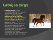 Презентация 'Zirgu selekcija Latvijā', 9.