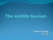 Презентация 'The Wildlife Tourism', 1.