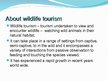 Презентация 'The Wildlife Tourism', 3.