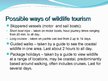 Презентация 'The Wildlife Tourism', 5.