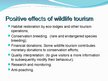 Презентация 'The Wildlife Tourism', 8.