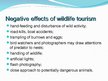 Презентация 'The Wildlife Tourism', 9.