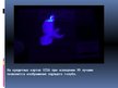 Презентация 'Ультрафиолетовое излучение, инфразвук, магнитное поле Земли, магнитные бури, шар', 7.