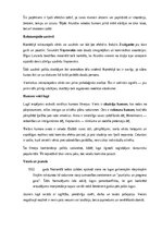 Конспект 'Ādolfa Alunāna lugas “Seši mazi bundzenieki” apraksts un analīze', 11.