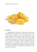 Реферат 'Создание бренда картофельных чипсов "Premium Chips"', 4.