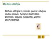 Презентация 'Latvijas lielie putni', 5.
