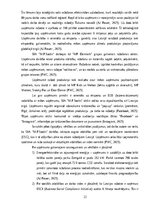 Дипломная 'Ārpakalpojumu grāmatvedības nozares riski un to mazināšanas iespējas', 22.