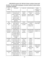 Дипломная 'Ārpakalpojumu grāmatvedības nozares riski un to mazināšanas iespējas', 56.