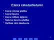 Презентация 'Ekosistēma - ezers', 8.