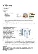 Конспект 'RSU Molekulārā un šūnu bioloģija 2. kolokvijam vajadzīgais konspekts', 1.