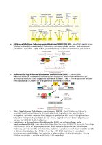 Конспект 'RSU Molekulārā un šūnu bioloģija 2. kolokvijam vajadzīgais konspekts', 8.