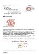 Конспект 'RSU Molekulārā un šūnu bioloģija 2. kolokvijam vajadzīgais konspekts', 11.