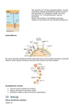Конспект 'RSU Molekulārā un šūnu bioloģija 2. kolokvijam vajadzīgais konspekts', 15.