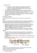 Конспект 'RSU Molekulārā un šūnu bioloģija 2. kolokvijam vajadzīgais konspekts', 16.