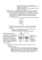Конспект 'RSU Molekulārā un šūnu bioloģija 2. kolokvijam vajadzīgais konspekts', 18.
