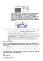 Конспект 'RSU Molekulārā un šūnu bioloģija 2. kolokvijam vajadzīgais konspekts', 19.