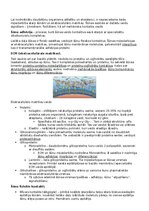 Конспект 'RSU Molekulārā un šūnu bioloģija 2. kolokvijam vajadzīgais konspekts', 20.