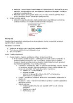 Конспект 'RSU Molekulārā un šūnu bioloģija 2. kolokvijam vajadzīgais konspekts', 22.