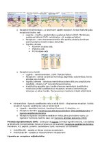 Конспект 'RSU Molekulārā un šūnu bioloģija 2. kolokvijs', 23.