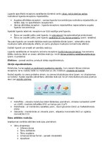 Конспект 'RSU Molekulārā un šūnu bioloģija 2. kolokvijs', 24.