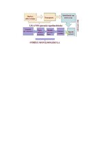 Конспект 'RSU Molekulārā un šūnu bioloģija 2. kolokvijs', 25.